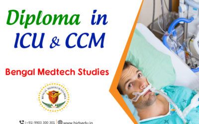 How The Medical Support System Functions In ICU and CCU?