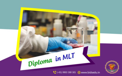 Professionals In a Pathology Laboratory