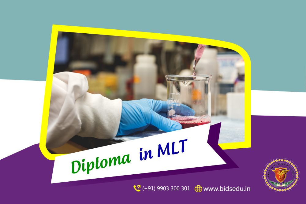 Professionals In a Pathology Laboratory